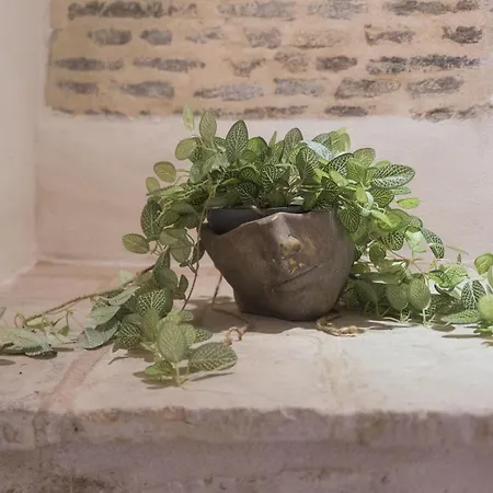 Апартаменти La Corelita - Living